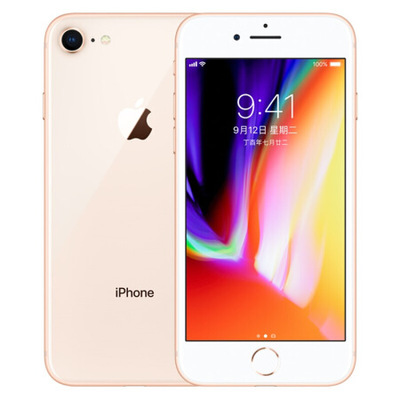 Apple 苹果 iPhone 8 手机 金色 全网通(64GB)